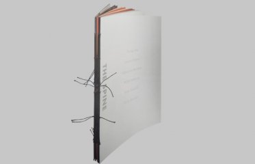 濟(jì)南畫冊(cè)設(shè)計(jì)裝幀-書(shū)脊