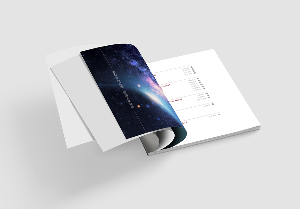 銀豐生物集團企業(yè)畫冊設(shè)計