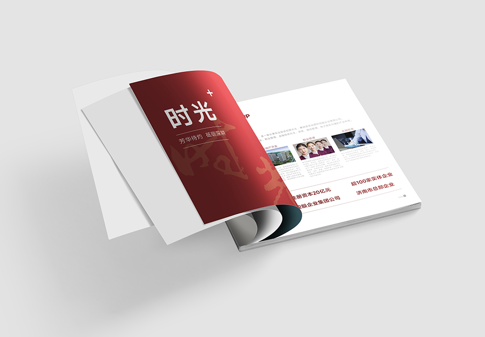 銀豐生物集團企業(yè)畫冊設(shè)計