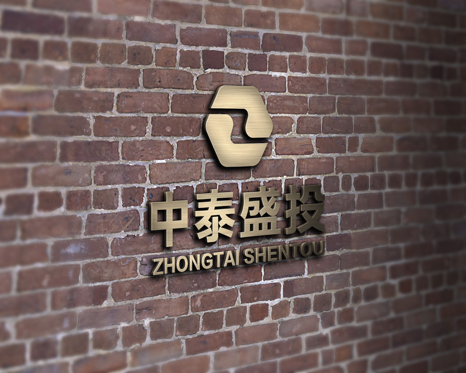 中泰盛投logo設(shè)計(jì)