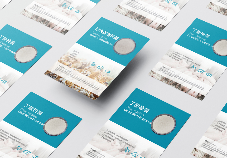 農(nóng)業(yè)畜牧業(yè)畫冊設(shè)計、封套單頁設(shè)計