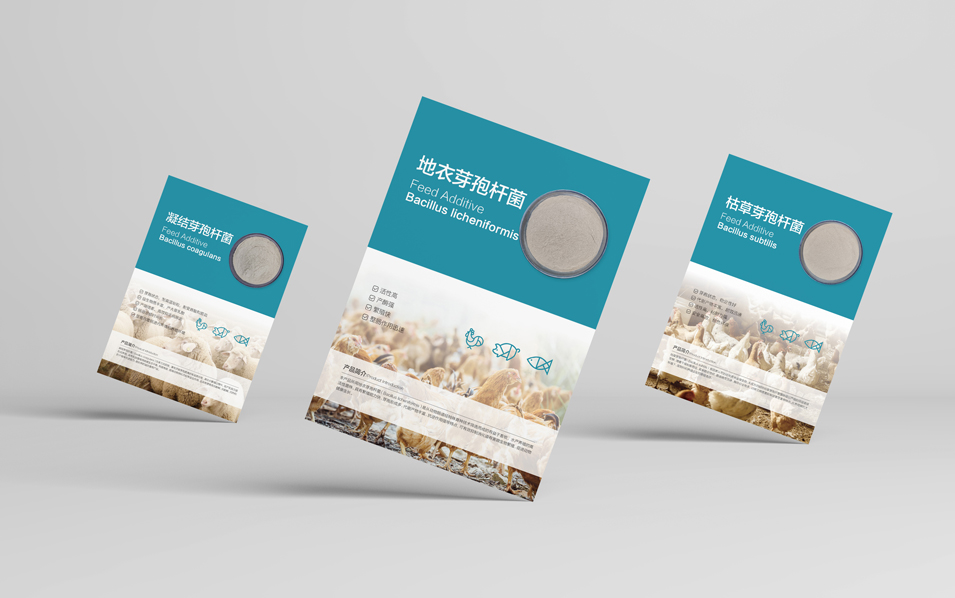 農(nóng)業(yè)畜牧業(yè)畫冊設(shè)計、封套單頁設(shè)計